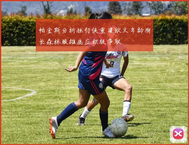 帕金斯分析独行侠重建欧文年龄渐长森林狼雄鹿应积极争取